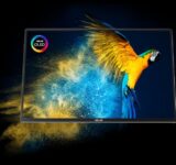 Asus ZenScreen MQ16FC cover